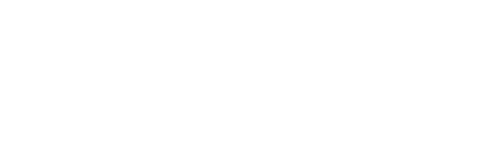 Fulmin logo hvit